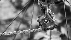 Bicycle Chain in Black and White