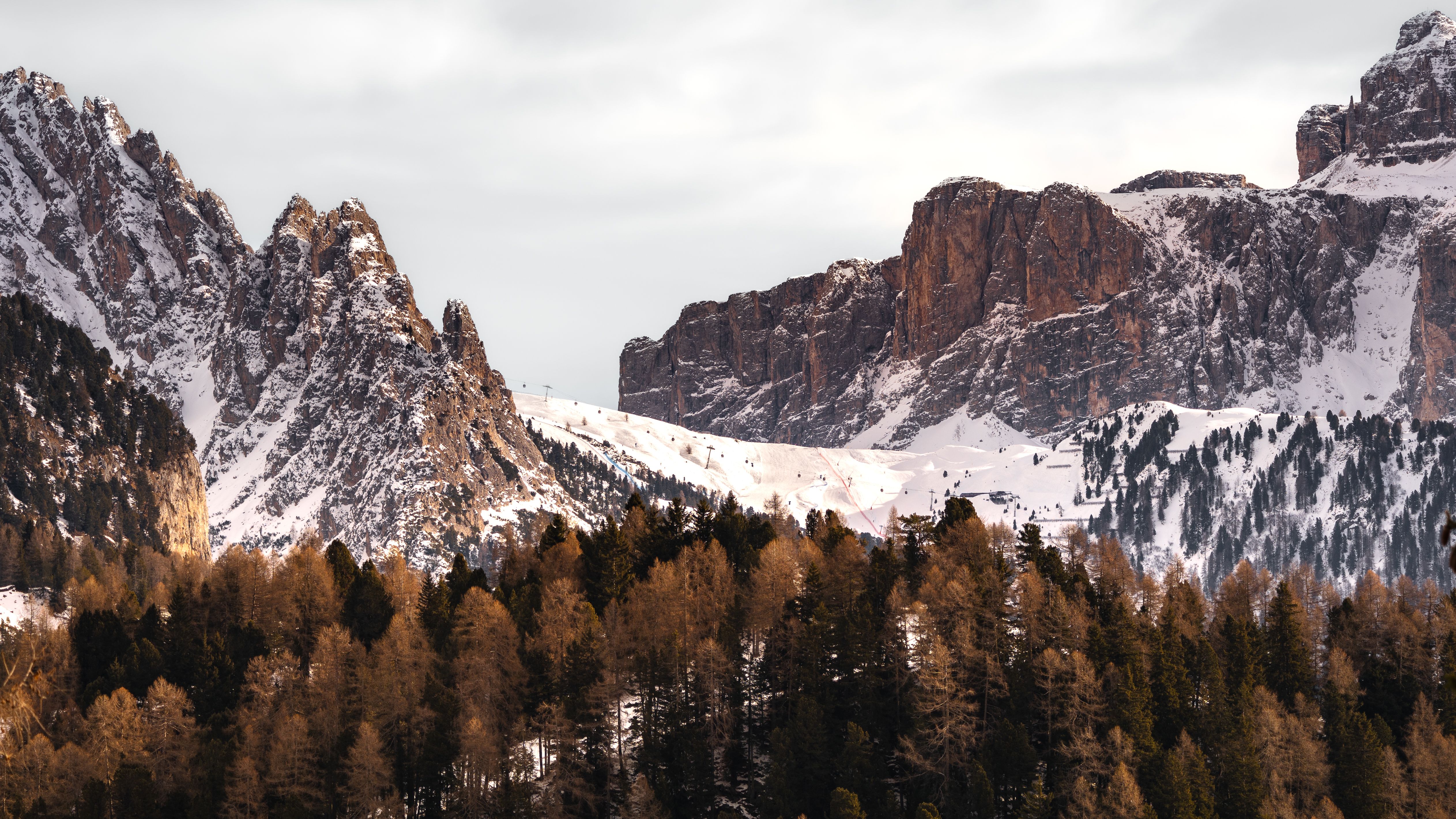 A snowy mountain range with trees and snow · Free Stock Photo
