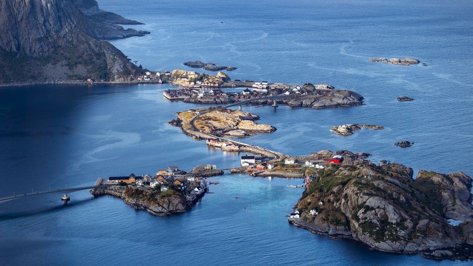 Professional Travel Consultant and Guide Coordinator - Norway Coastal Tours