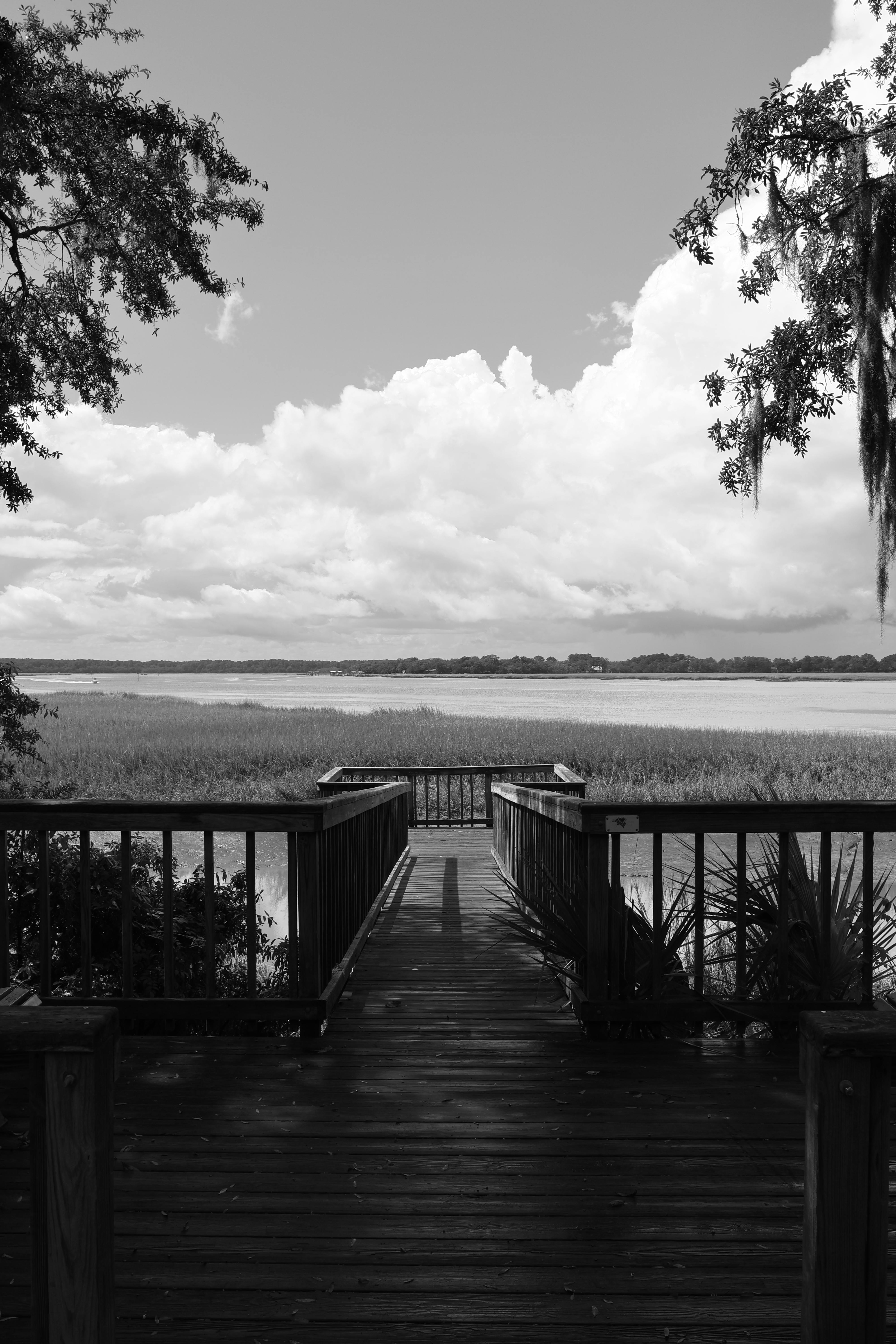South Carolina Lowcountry