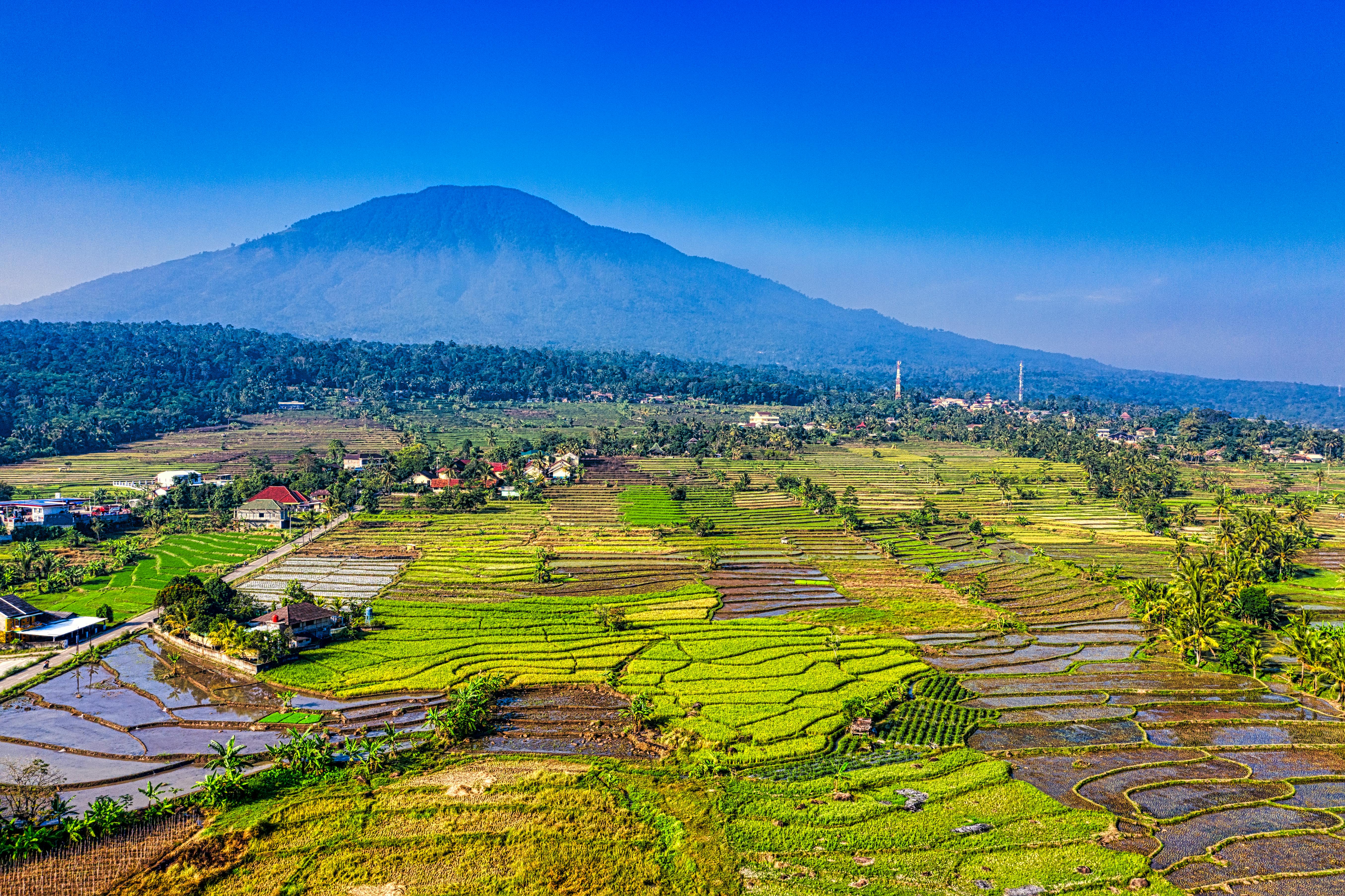 Free stock photo of aerial, agriculture, architecture