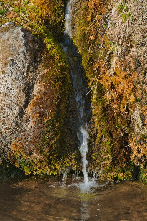 Free A small waterfall cascading over rocks covered in lush, vibrant moss. Stock Photo
