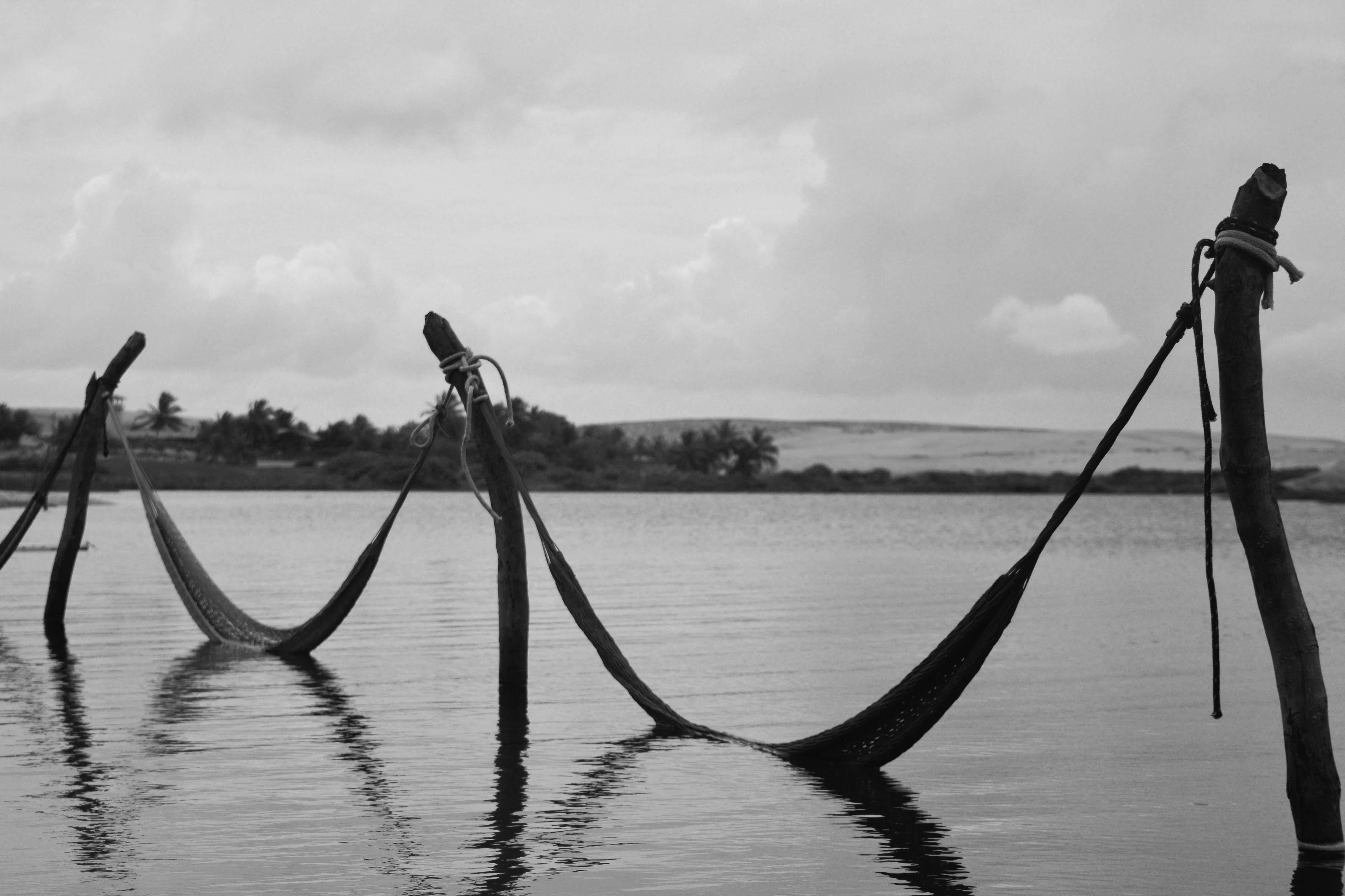 black and white photograph of hammocks on the water