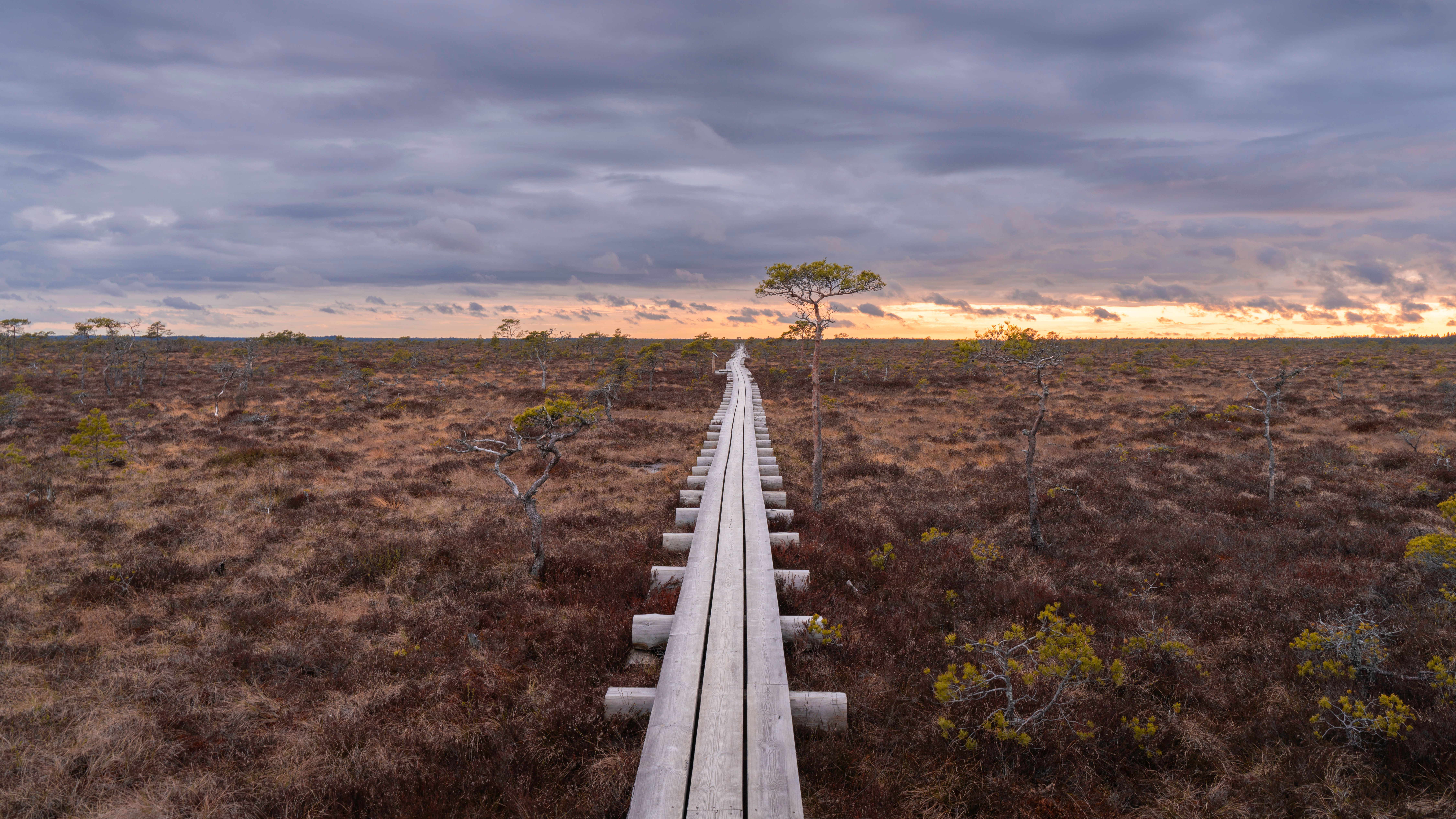 Hautes Fagnes Nature Reserve, Liège Province