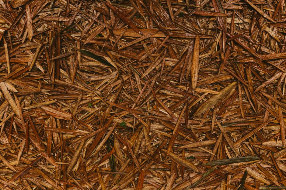 Close-up of dry straw and crop residue used as mulch — a 5-10 cm blanket over the soil cuts evaporation so you carry less water.