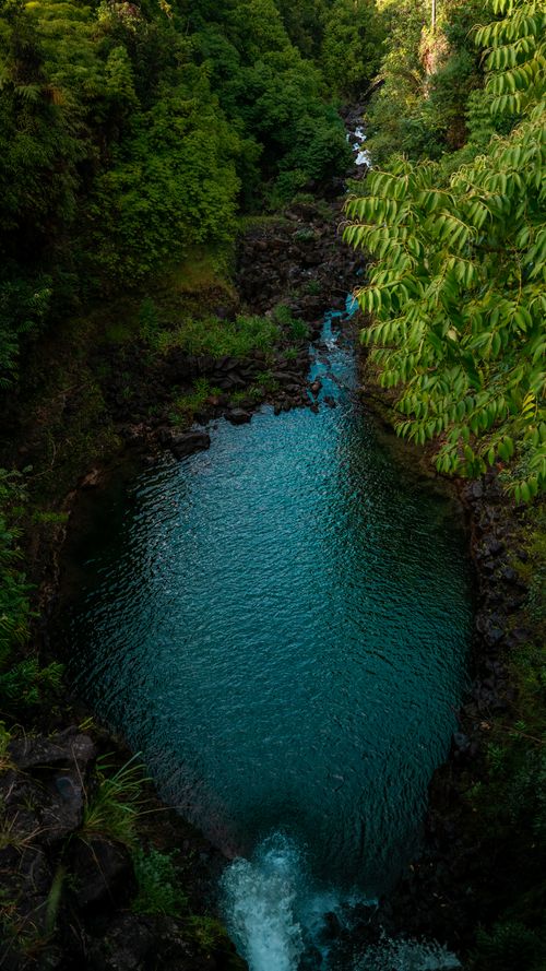 Free A mesmerizing aerial view of a lush green forest with a winding river, highlighting nature's beauty. Stock Photo