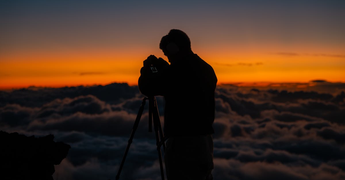 Why Nature Photography is the Perfect Leisure Pursuit