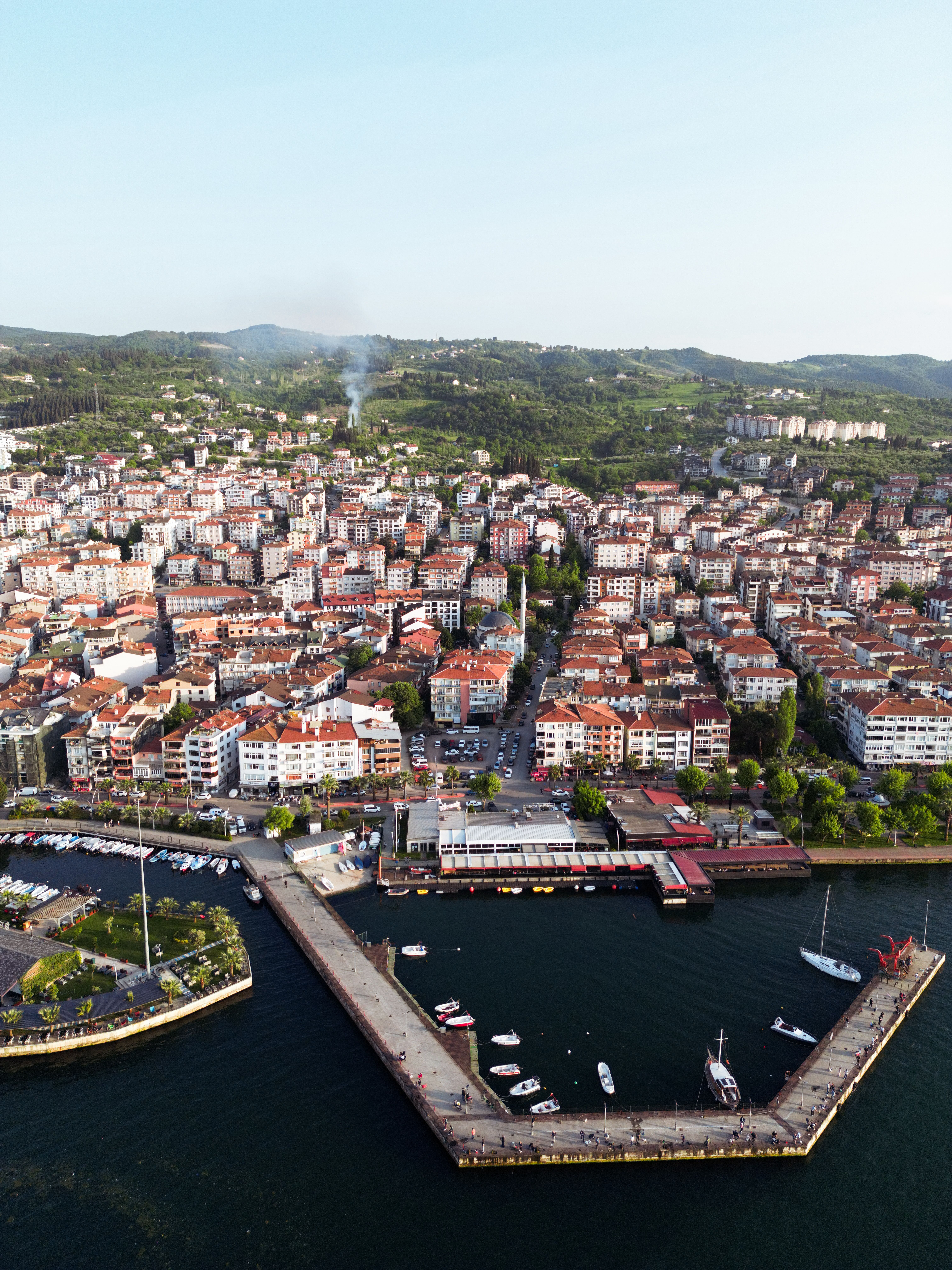 Aerial photo of a coastal town with a vibrant harbor, surrounded by greenery and urban skyline.