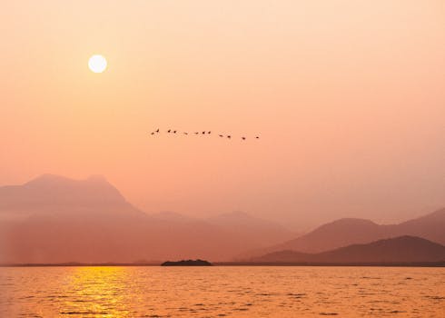 Beautiful sunset scene with birds flying over a calm sea and distant mountains.