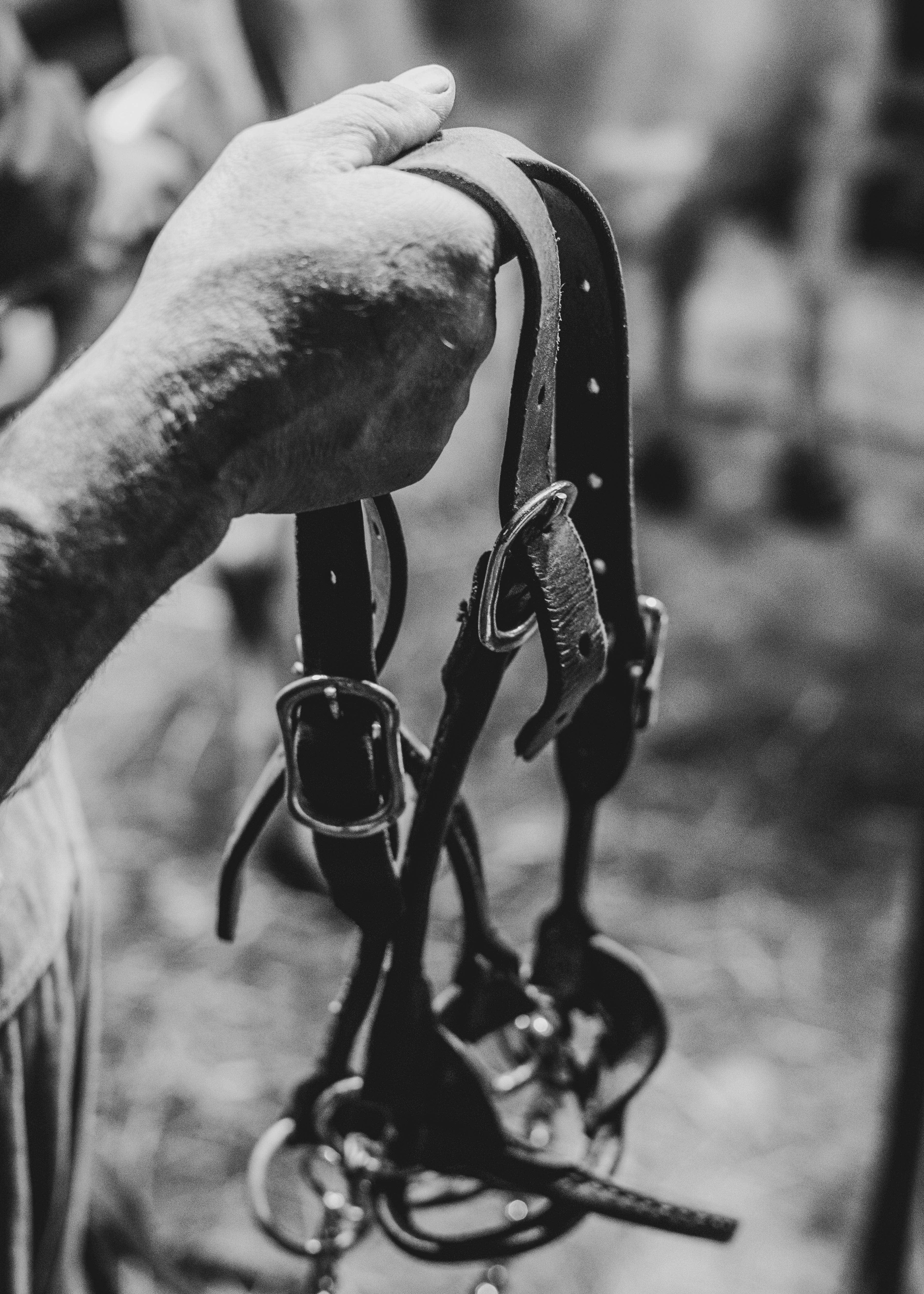 Close-up of a hand holding horse tack in a black and white farm setting.