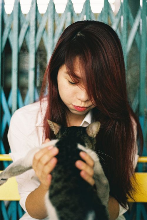 Free A young woman lovingly holds a cat outdoors against a metal backdrop. Stock Photo