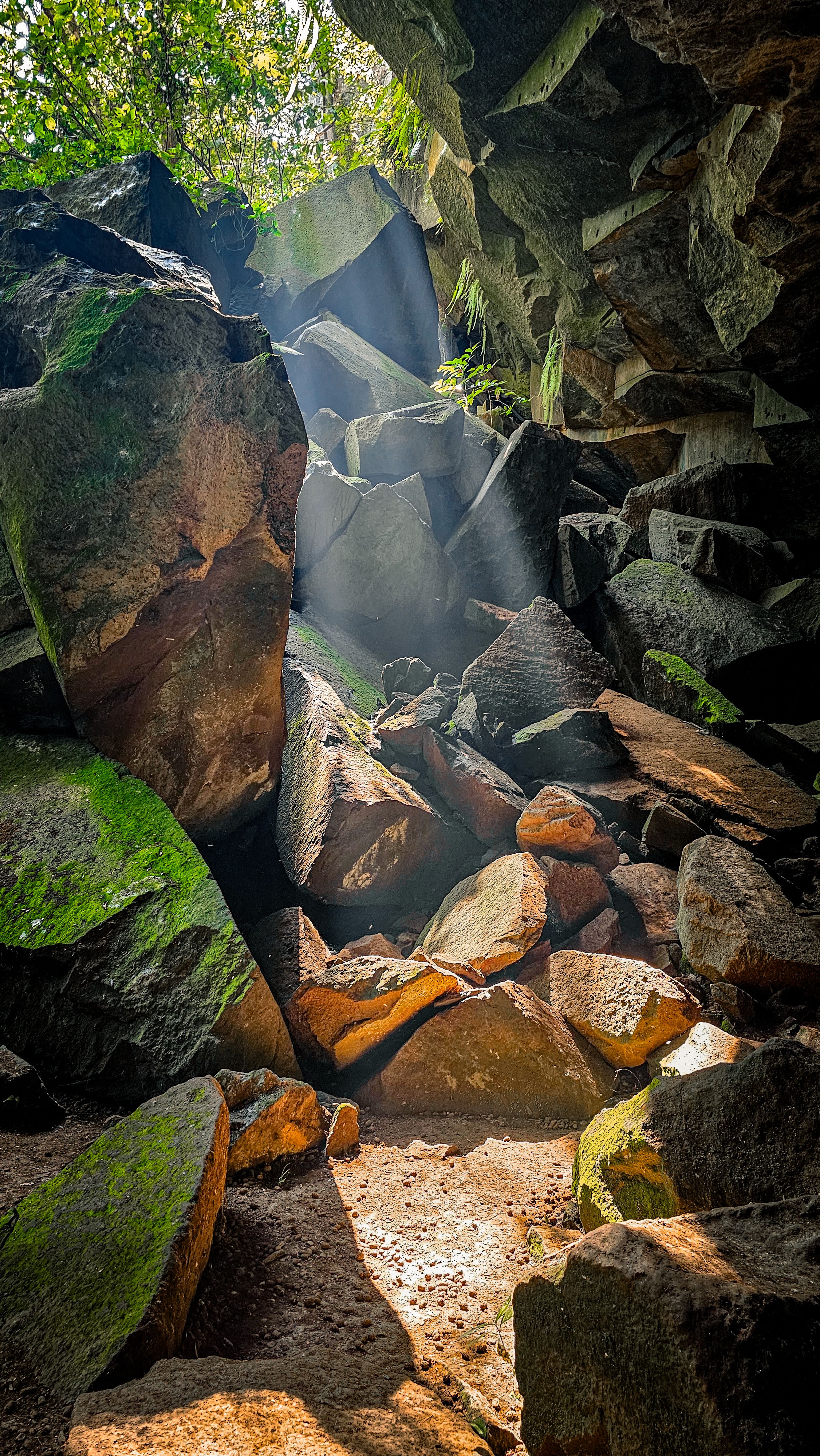 Rocks in a Forest in Sunlight · Free Stock Photo