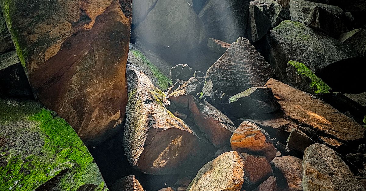 Forest Eith Rocks Rocks in a Forest in Sunlight · Free Stock Photo