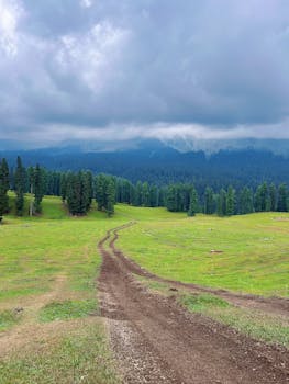 A tranquil dirt path cuts through a lush green meadow with a forest backdrop under a cloudy sky.