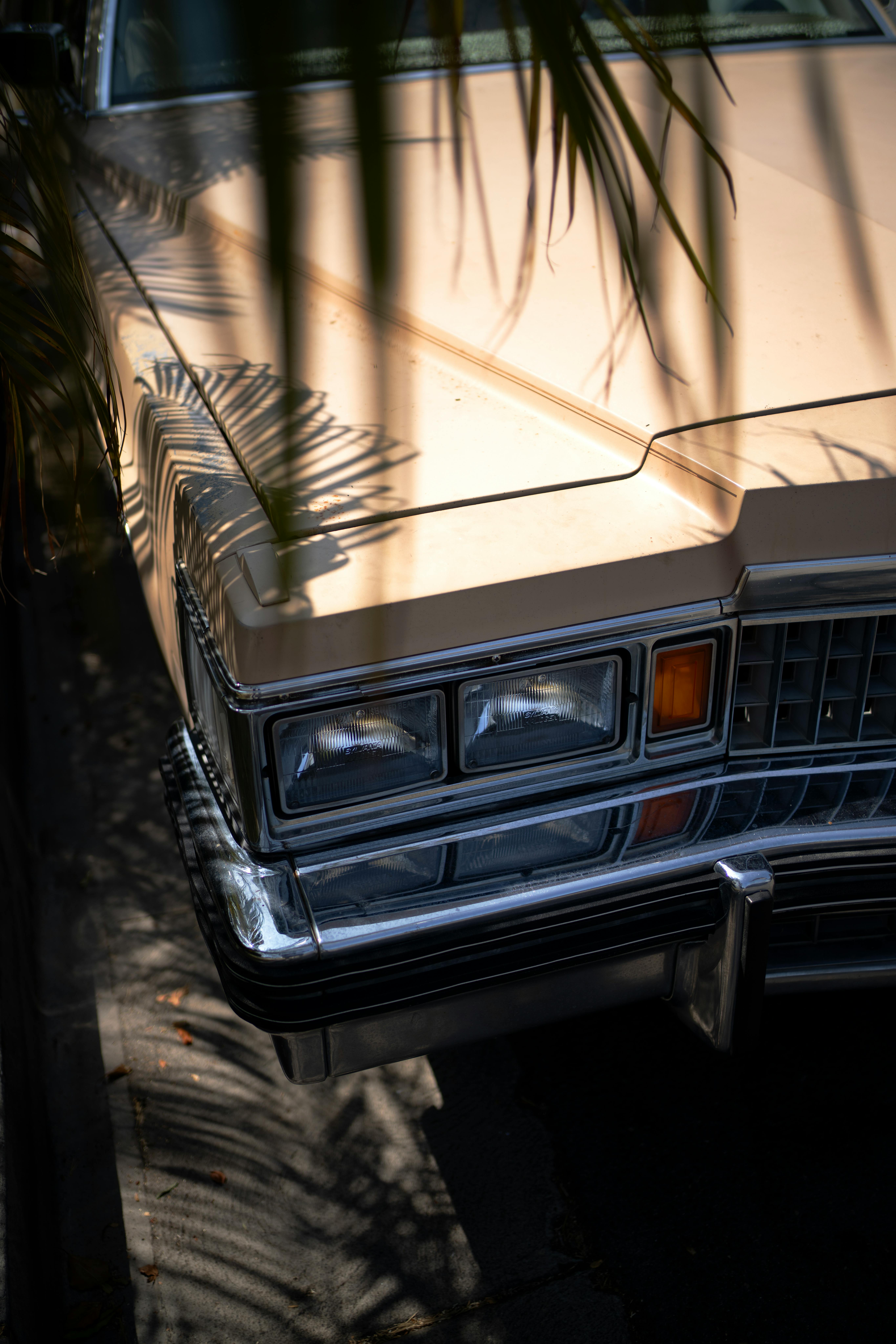 Close-up of a vintage Cadillac parked on a sunny day in Los Angeles, shaded by palm leaves.