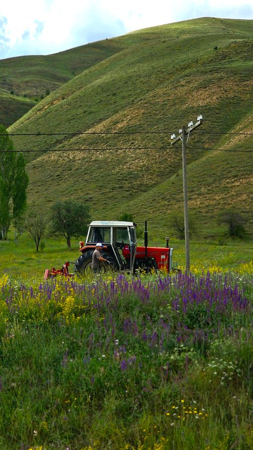 Free A tractor working in a vibrant summer field surrounded by hills and wildflowers. Stock Photo