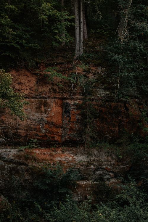 Free A dark forest landscape featuring a towering rocky cliff with lush greenery. Stock Photo