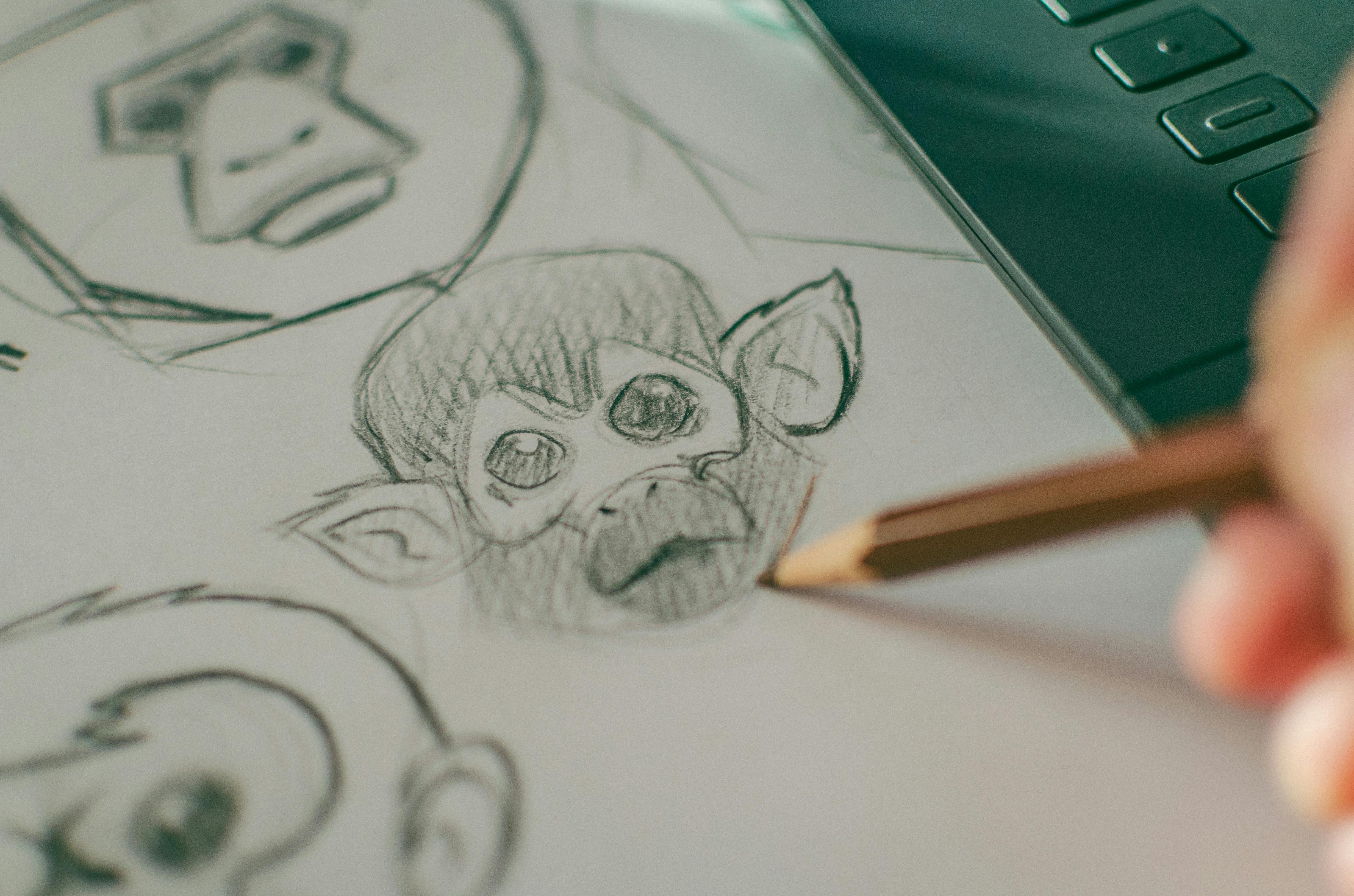 Capuchin Monkey sketch – Art By Breah