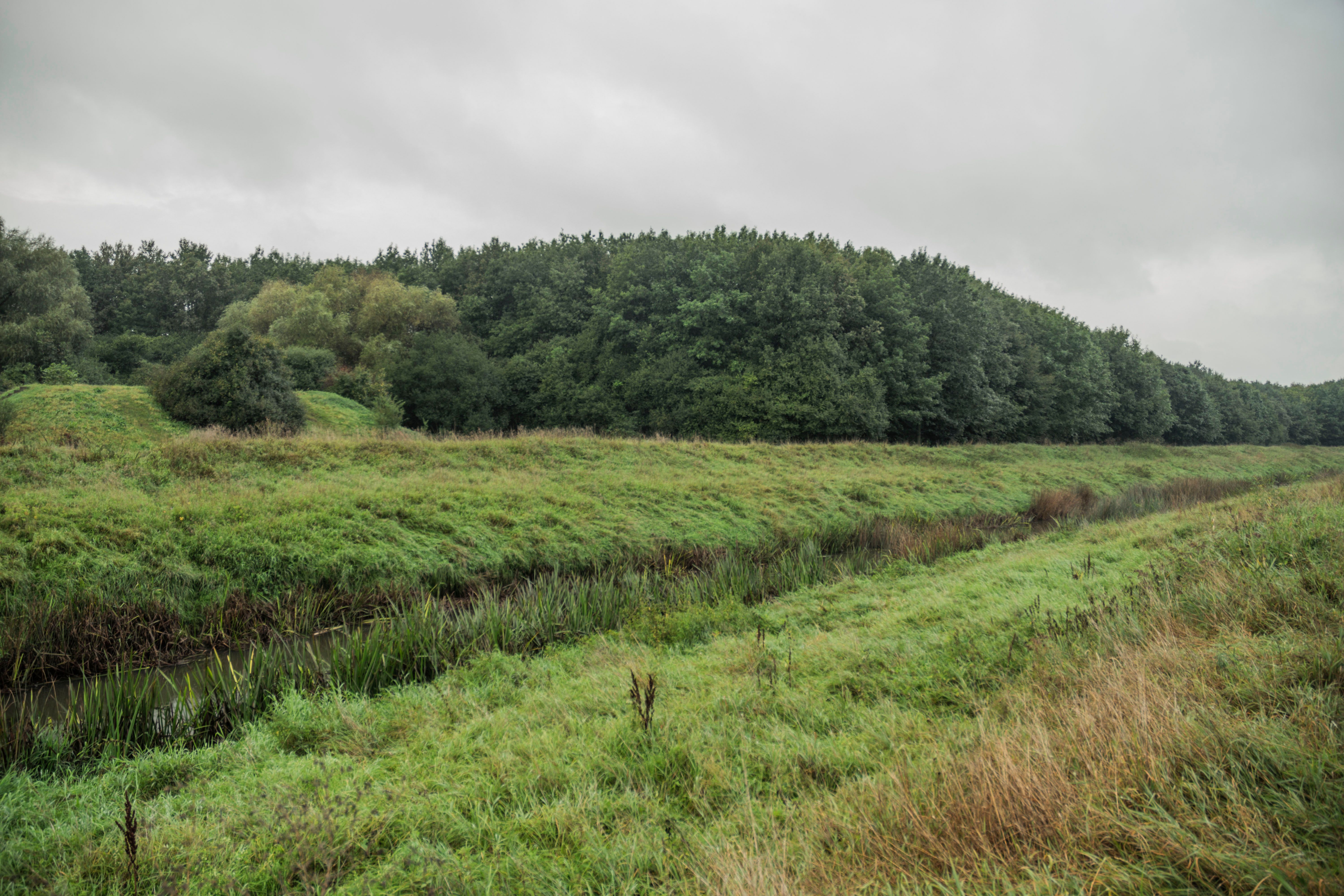 Bataille de Culloden : Histoire Écosse 2026