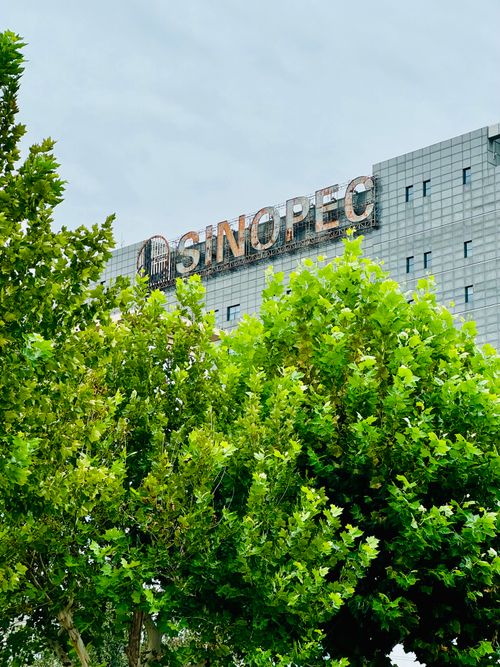 Free Exterior view of the Sinopec building behind vibrant green trees in Tian Jin Shi, China. Stock Photo