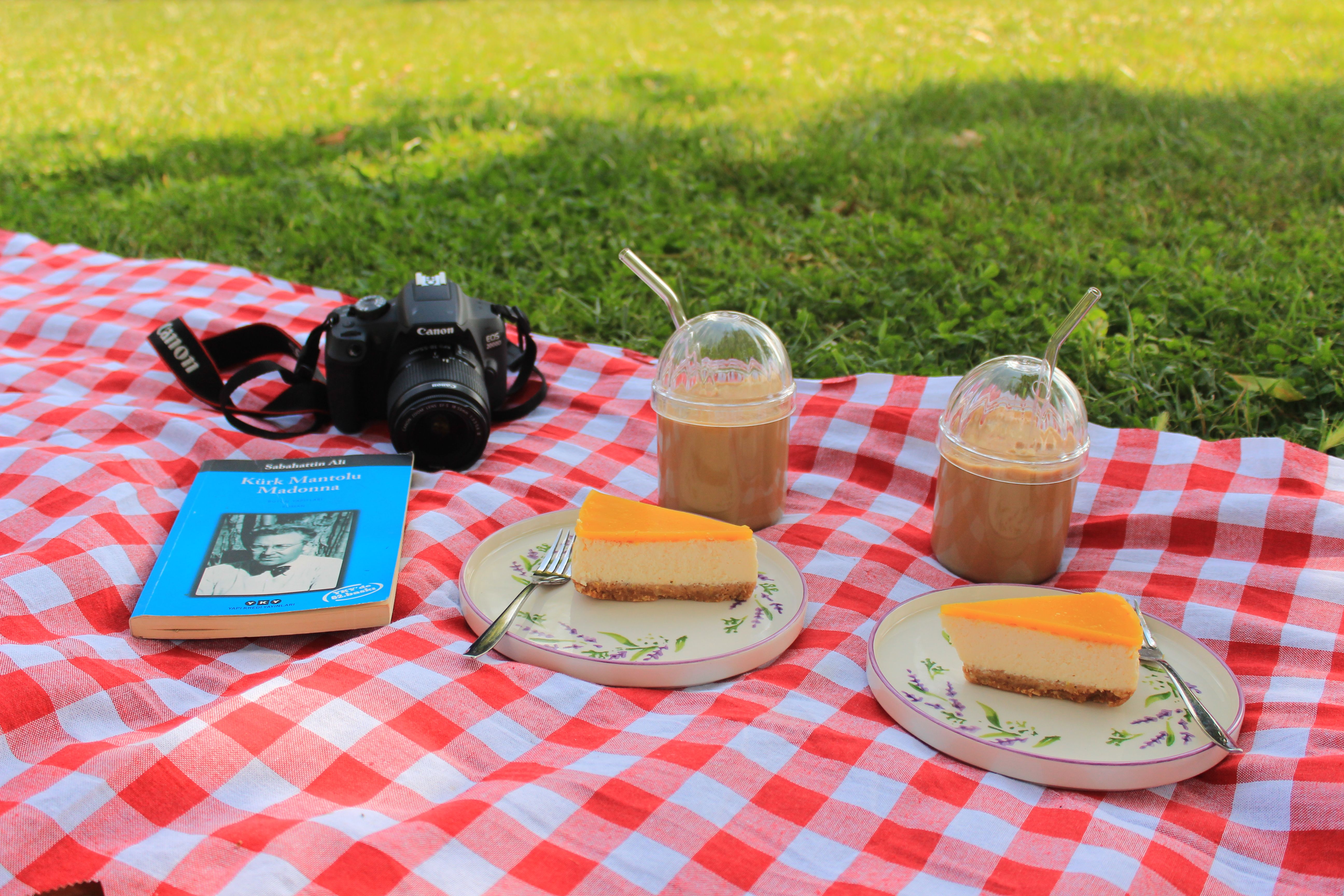 A picnic scene featuring coffee, cheesecake slices, and a camera on a red checkered blanket.