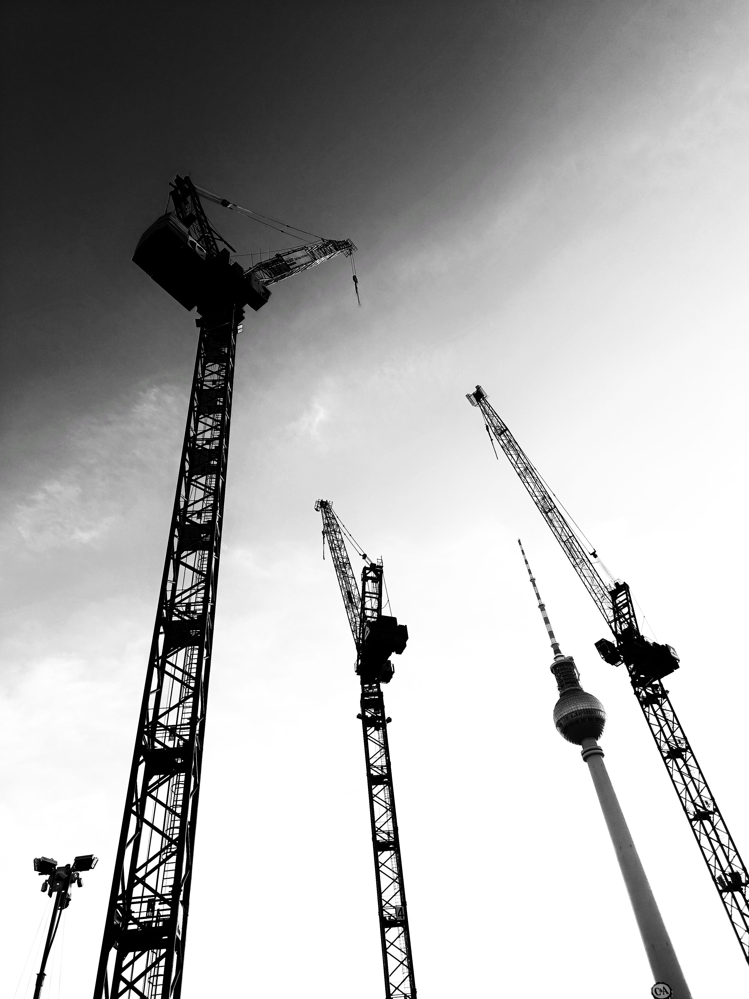 Black and white photo of cranes in the sky · Free Stock Photo