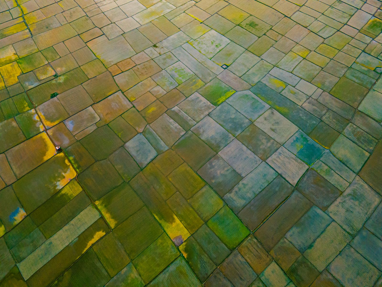 Veduta aerea di una piana tagliata in un mosaico di campi rettangolari