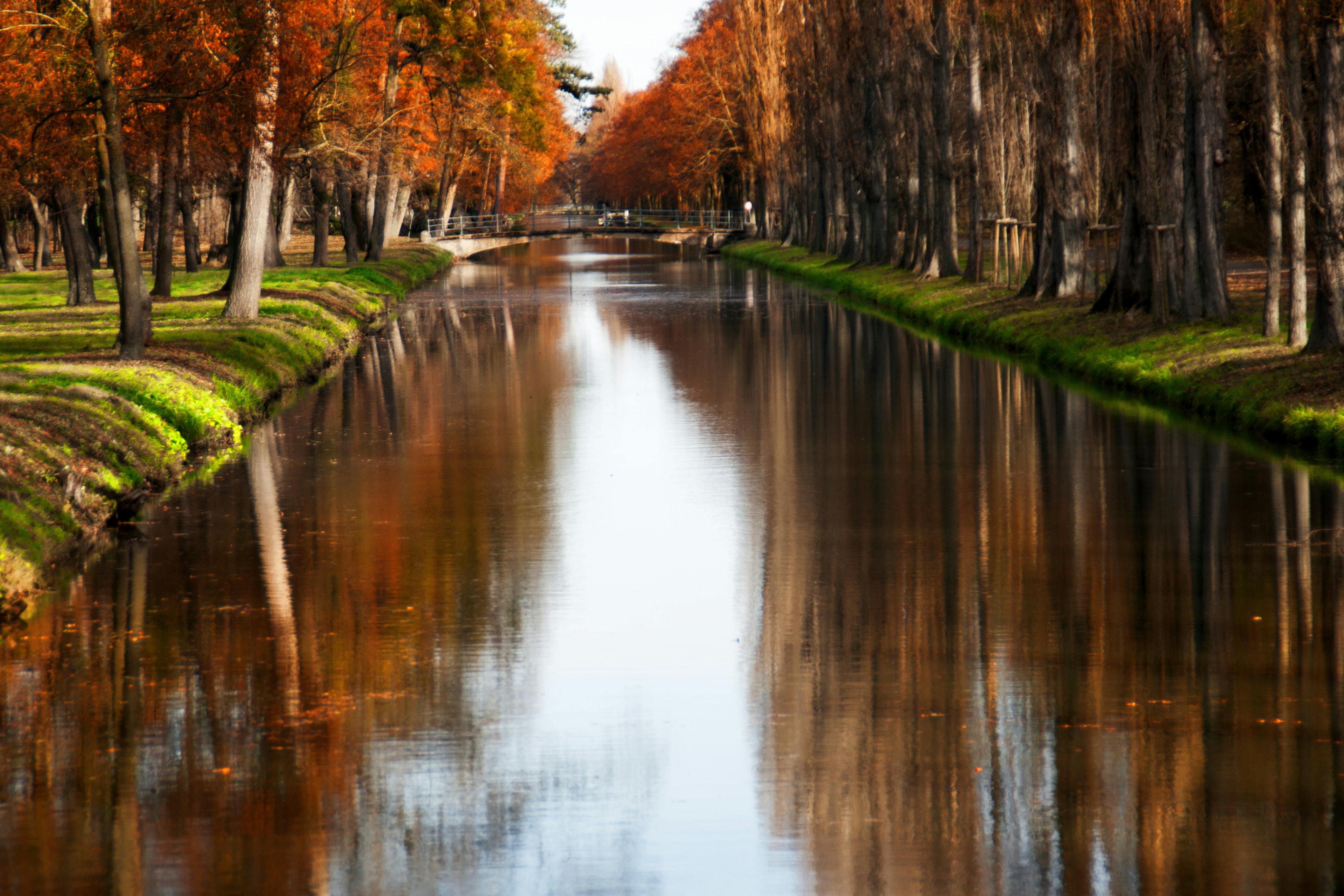 Free stock photo of autumn, landscape, river