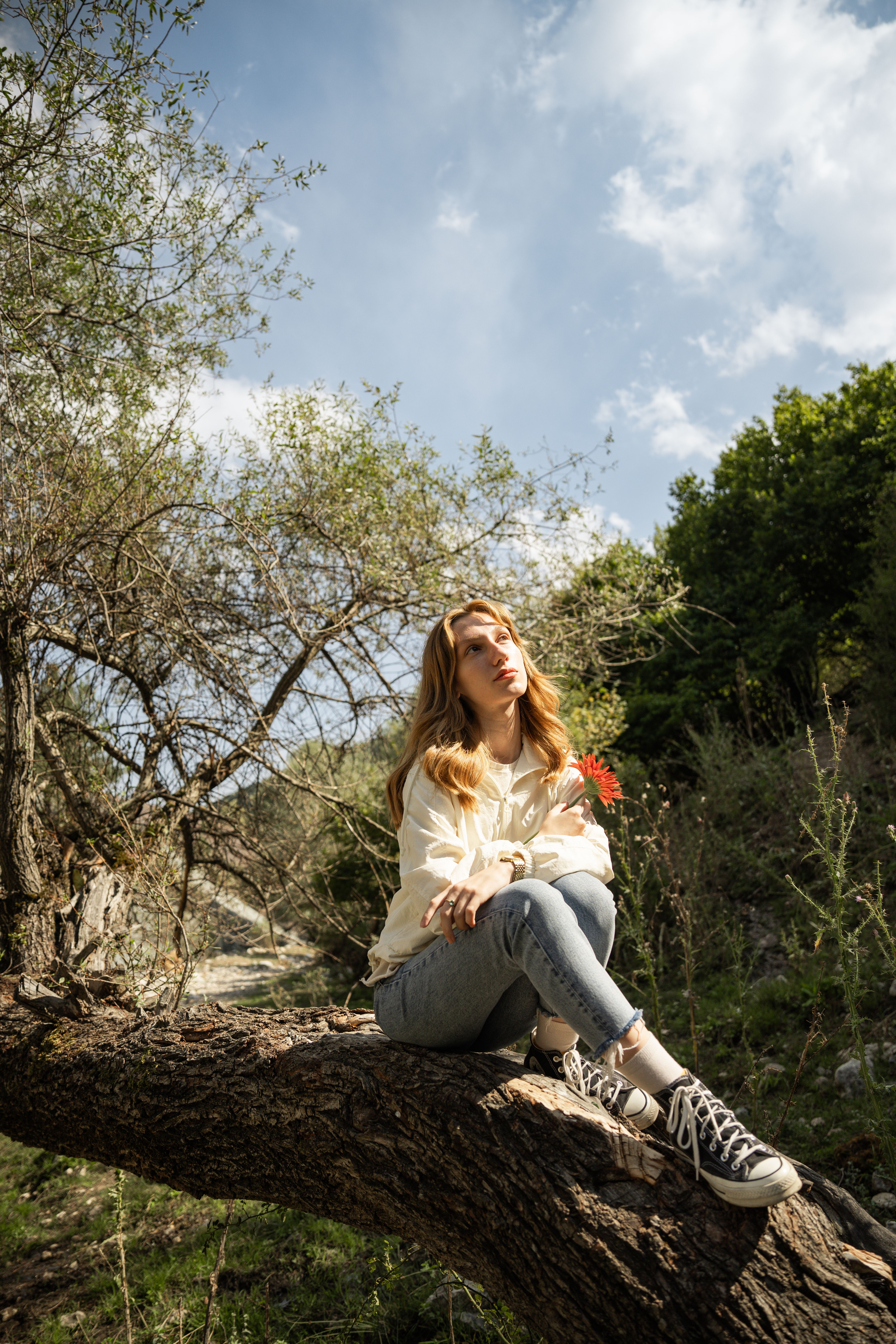 Woman relaxing under tree in sunny spring garden · Free Stock Photo