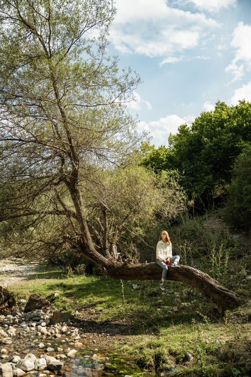 Free A woman sitting on a tree branch in a serene outdoor setting in Türkiye. Stock Photo