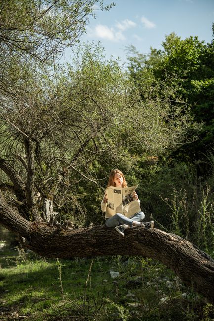 Woman reading newspaper on a tree branch in sunny Merzifon park.