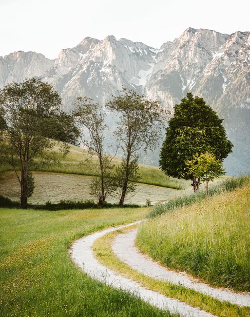 Serene pathway curving through lush greenery, against a backdrop of majestic snow-capped mountains.