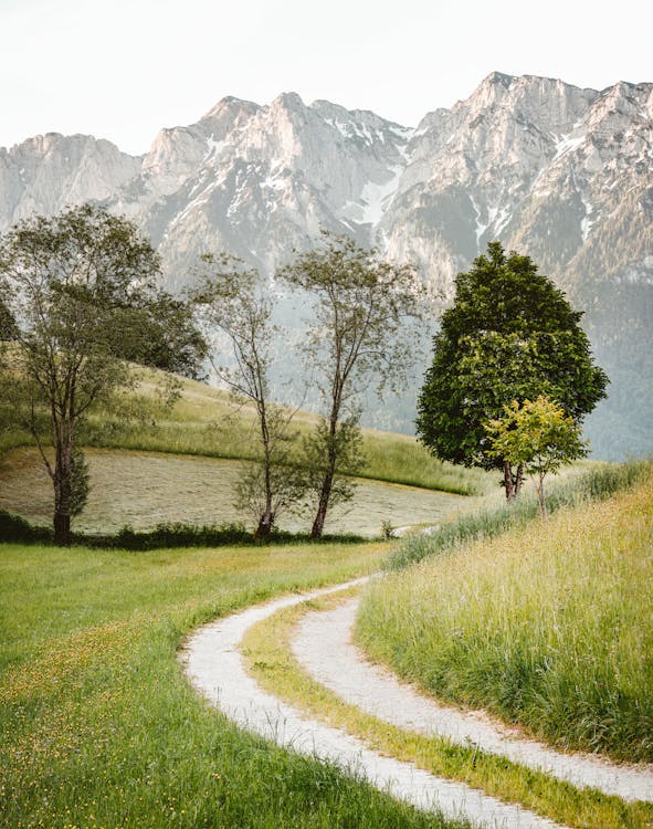 Scenic Photo Of Pathway During Daytime