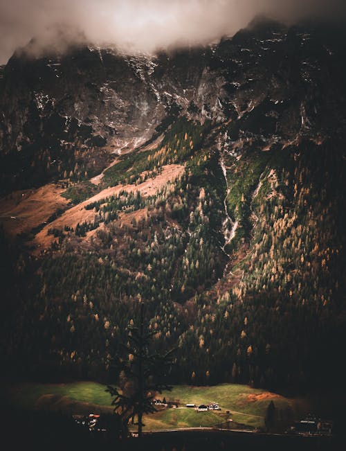Безкоштовне стокове фото на тему «вечір, гора, дерева»