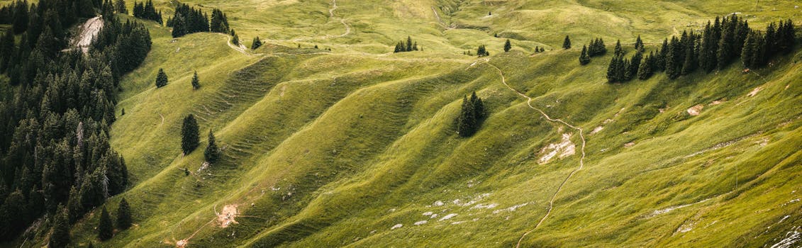 空中捕捉到美丽的绿色起伏丘陵、茂密森林和远足径