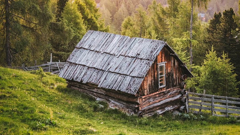 Églises, abbayes et patrimoine religieux avec son chien