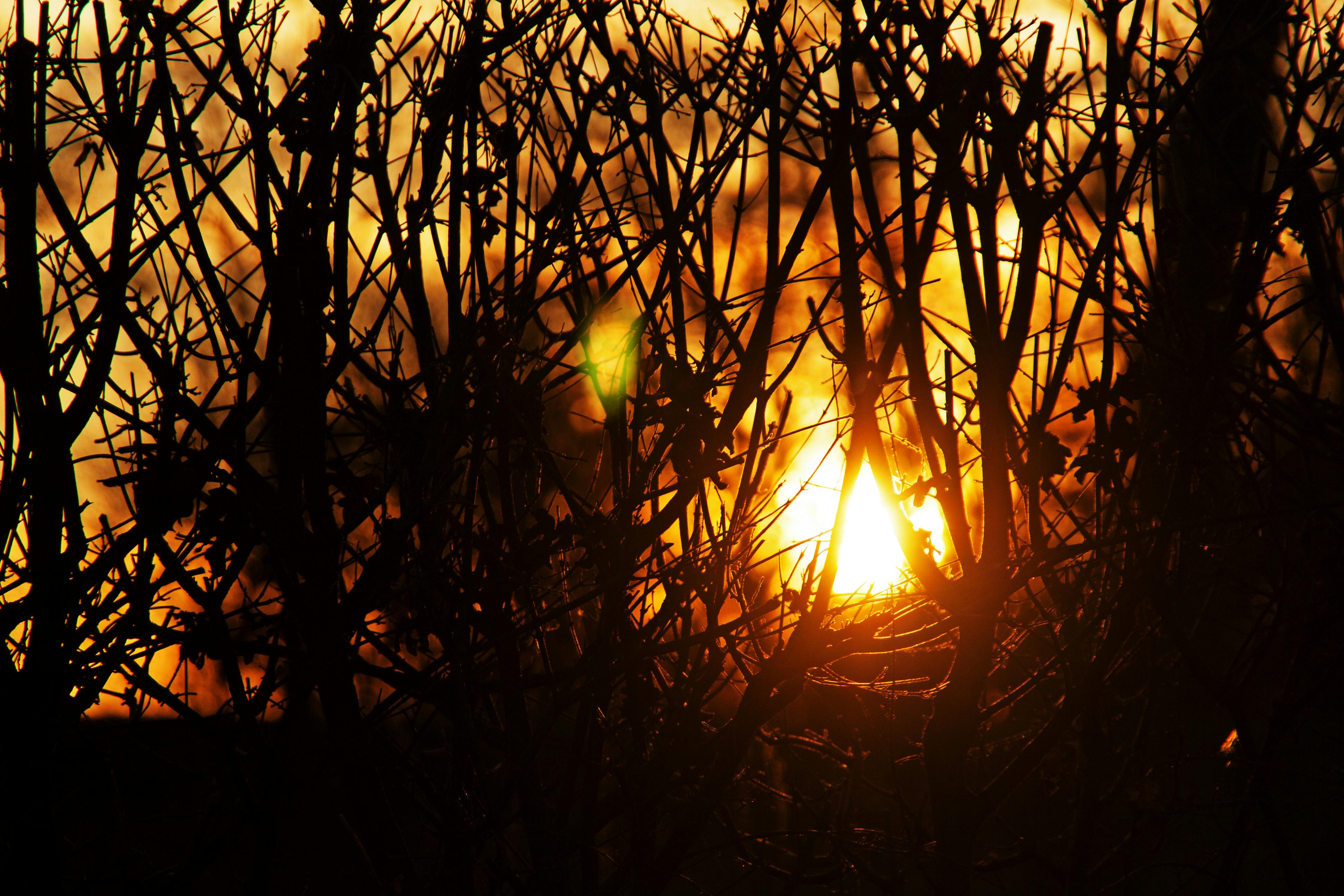 Skylight Maintenance and Repair