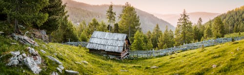 Free Brown Wooden House Near Tree Stock Photo
