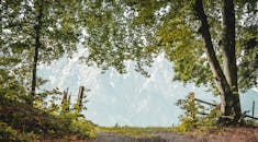 迷人的森林小径通向远方，透过茂密的树叶，可以看见壮丽的山脉景色