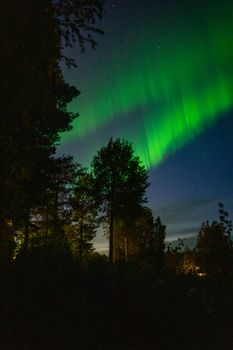 Capture the vibrant green aurora borealis illuminating the dark sky over a serene forest in Kiruna, Sweden.