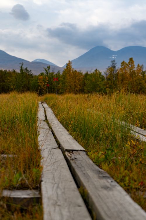 Free Scenic view of a wooden pathway leading through Kiruna's lush wetlands with distant mountains. Stock Photo