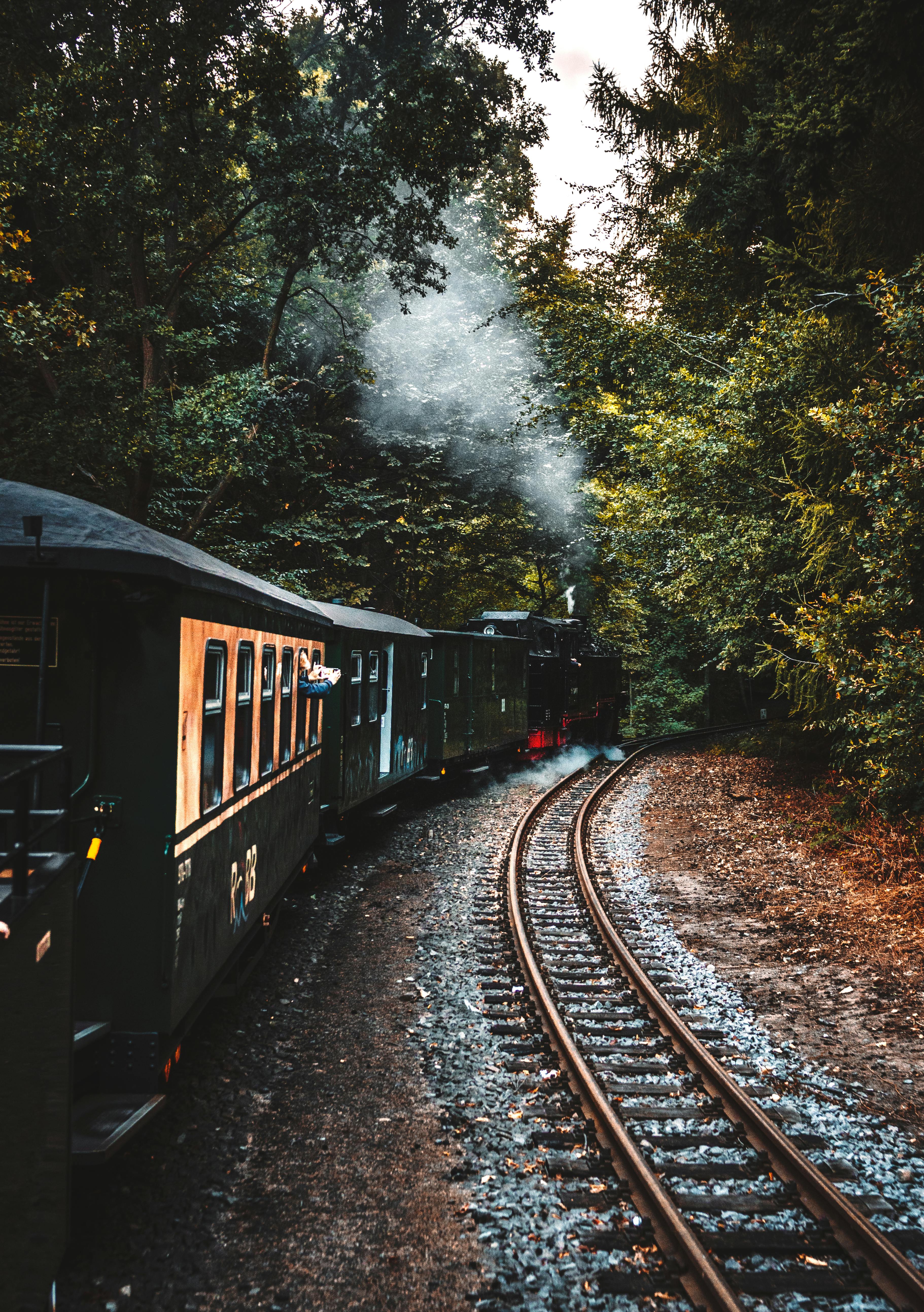 Train going up a gorgeous alpine landscape, train, grass, mountains,  clouds, HD wallpaper | Peakpx