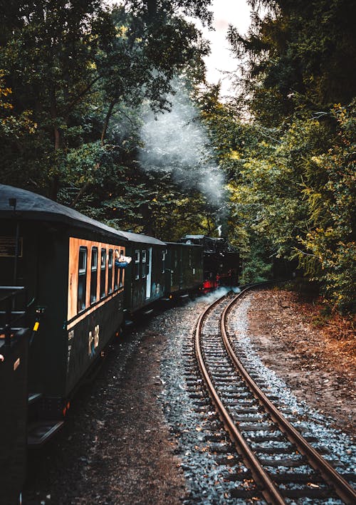 Brown Train Railway