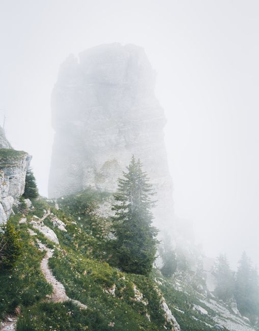 Foggy landscape featuring a towering rocky mountain and lush pine trees.