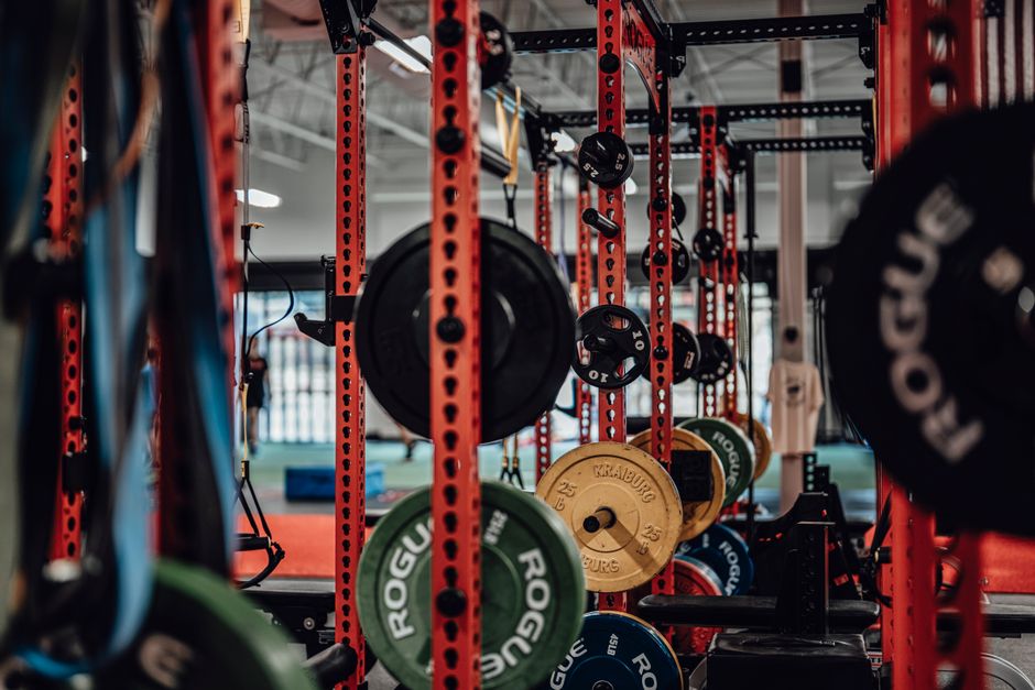 A high-end weight room featuring pristine equipment and a modern aesthetic - luxury gym north park A high-end weight room featuring pristine equipment and a modern aesthetic - luxury gym north park