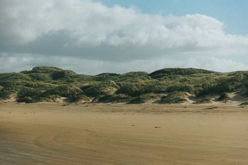 Free Peaceful Nordic beach scene with vast sandy stretches and lush green dunes under a cloudy sky. Stock Photo