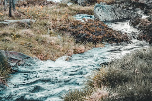 Free Stream Near Green Grass Fields Stock Photo