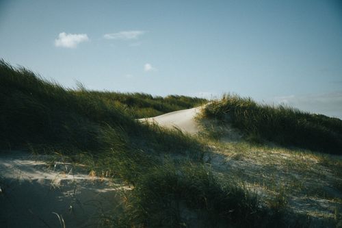 Free Serene dune landscape with grass-covered hills under a clear sky. Stock Photo