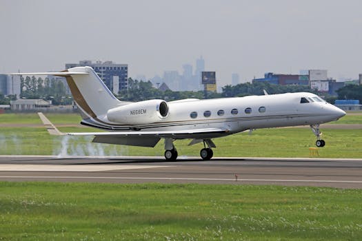 A private jet lands on a runway with city buildings in the background, showcasing aviation and travel.