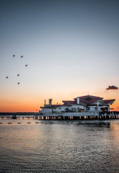 伊斯坦布尔码头，日落景色宁静，鸟儿飞越宁静的水域